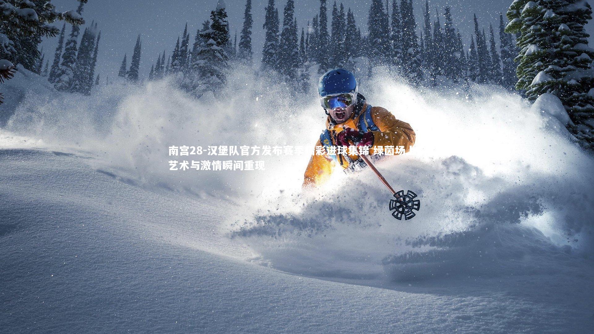 南宫28-汉堡队官方发布赛季精彩进球集锦 绿茵场上的艺术与激情瞬间重现