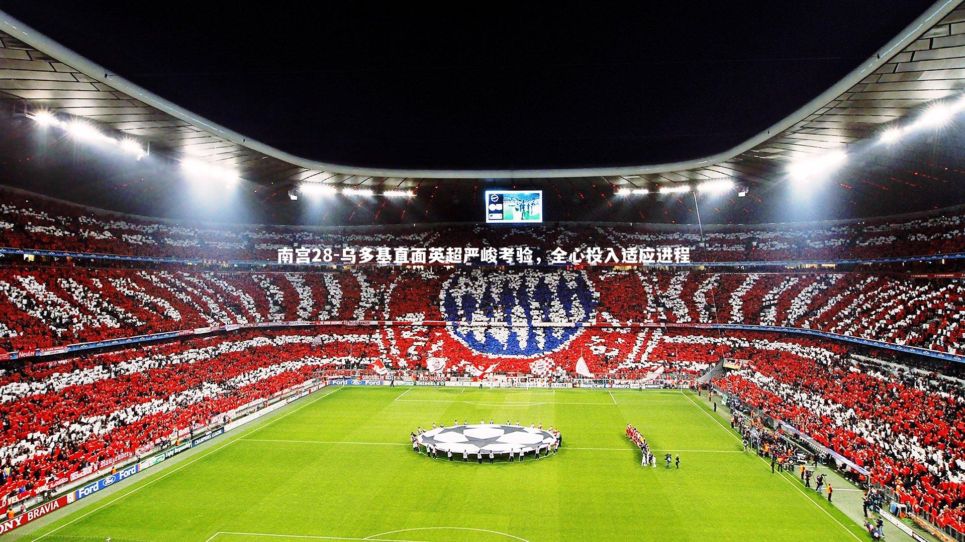 乌多基直面英超严峻考验，全心投入适应进程