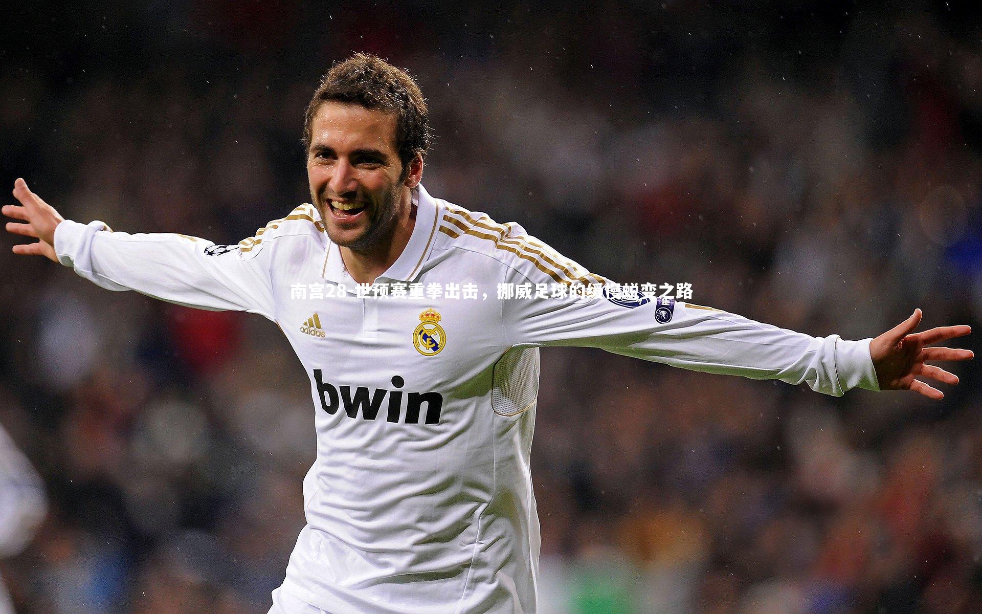 南宫28-世预赛重拳出击，挪威足球的缓慢蜕变之路